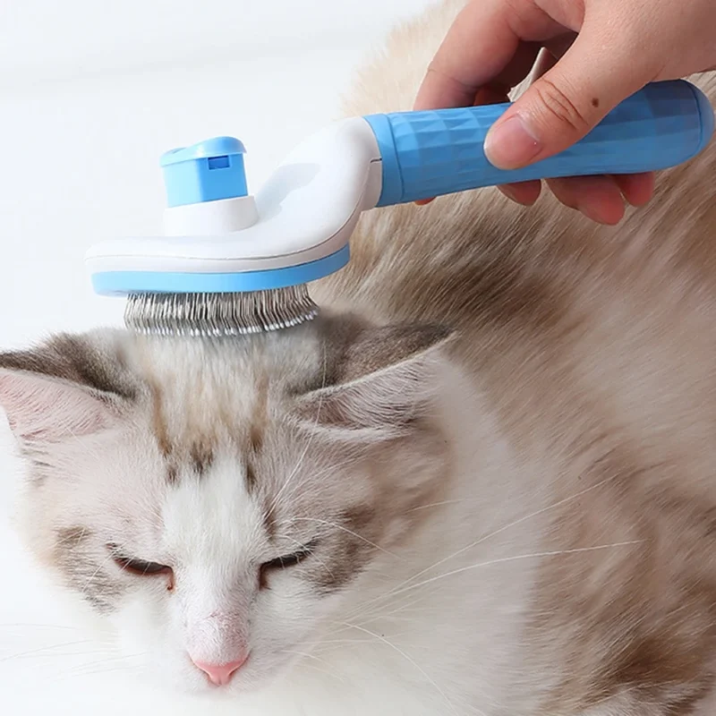 Animalerie-tunisie-Brosse-a-poils-de-chat-et-pour-chiens