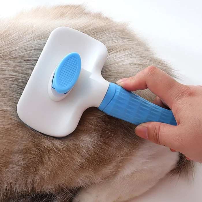 Animalerie-tunisie-Brosse-a-poils-de-chat-et-pour-chiens