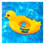 Flotteur de canard gonflable