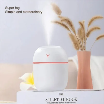 Humidificateur LED portable