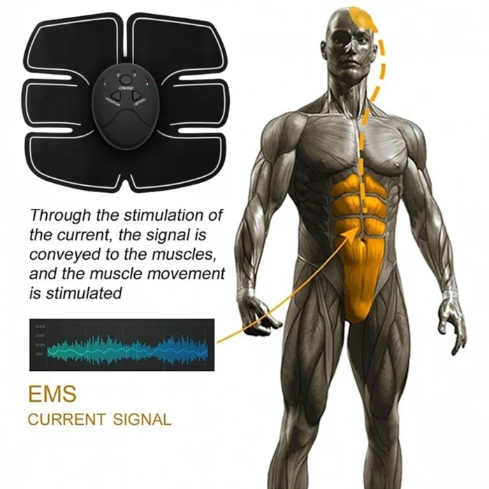 Stimulateur musculaire EMS - Beauty Body