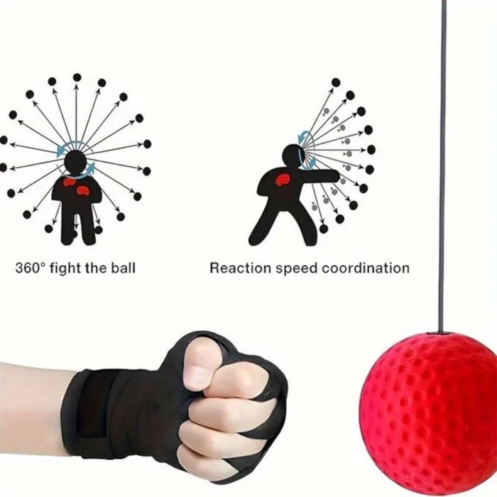 Balle de Réflexe de Boxe