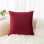 Pack de 4 Coussin Décoratif 40x40 cm