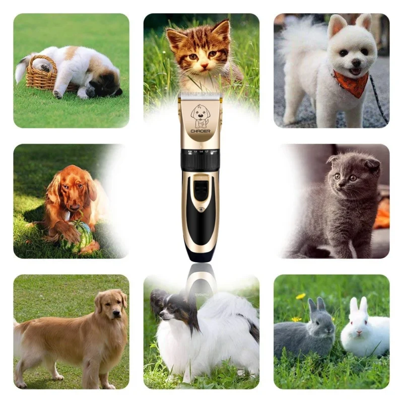 Tondeuse pour Animaux SAEDAY