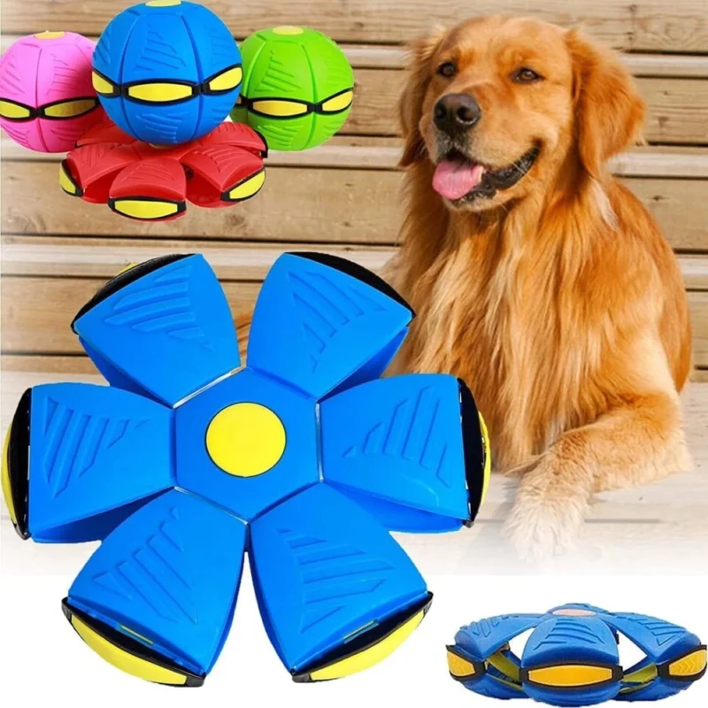 Jouet Interactif pour Chien