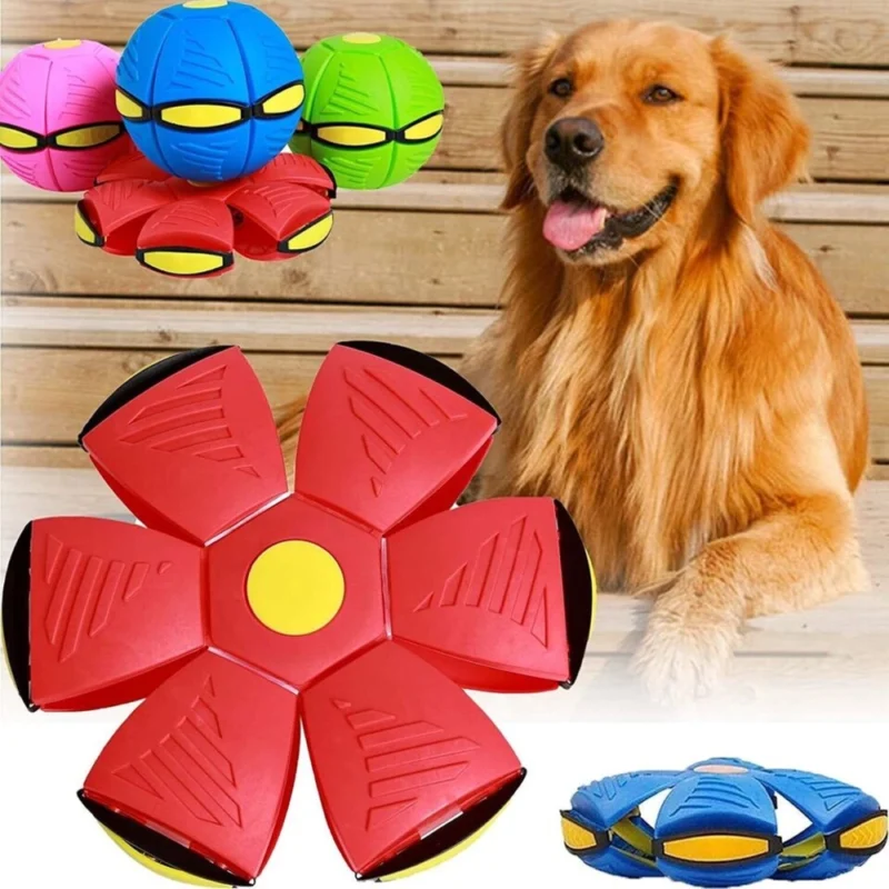 Jouet Interactif pour Chien