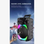 Enceinte Bluetooth karaoké Portable BS-119
