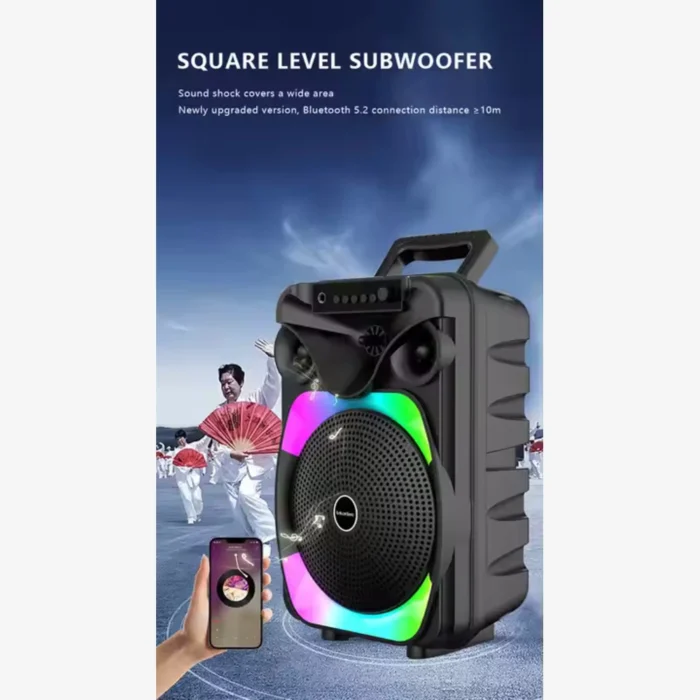 Enceinte Bluetooth karaoké Portable BS-119