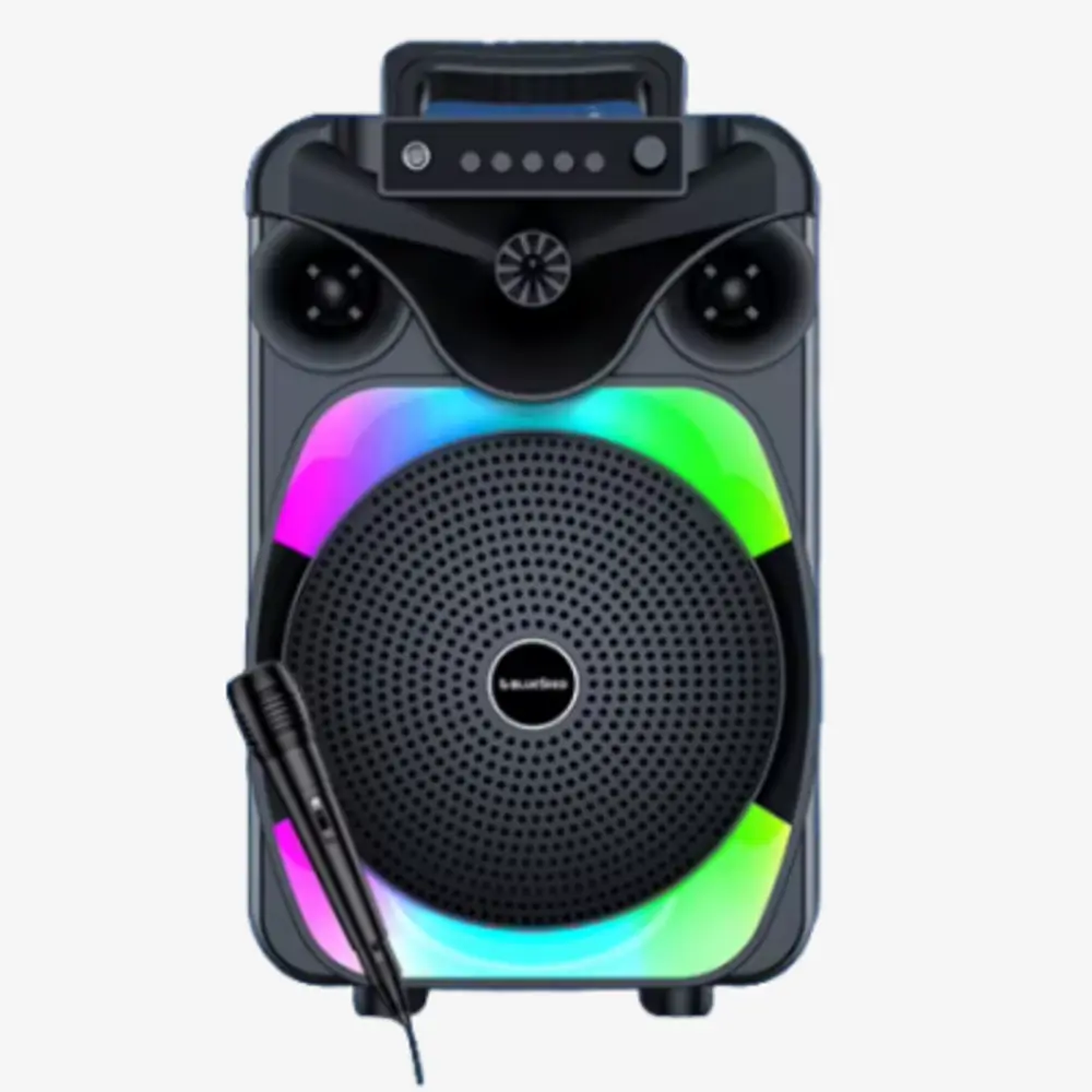 Enceinte Bluetooth karaoké Portable BS-119