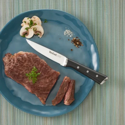 Set de 4 Couteaux Steak Tefal Ice Force K232S414 