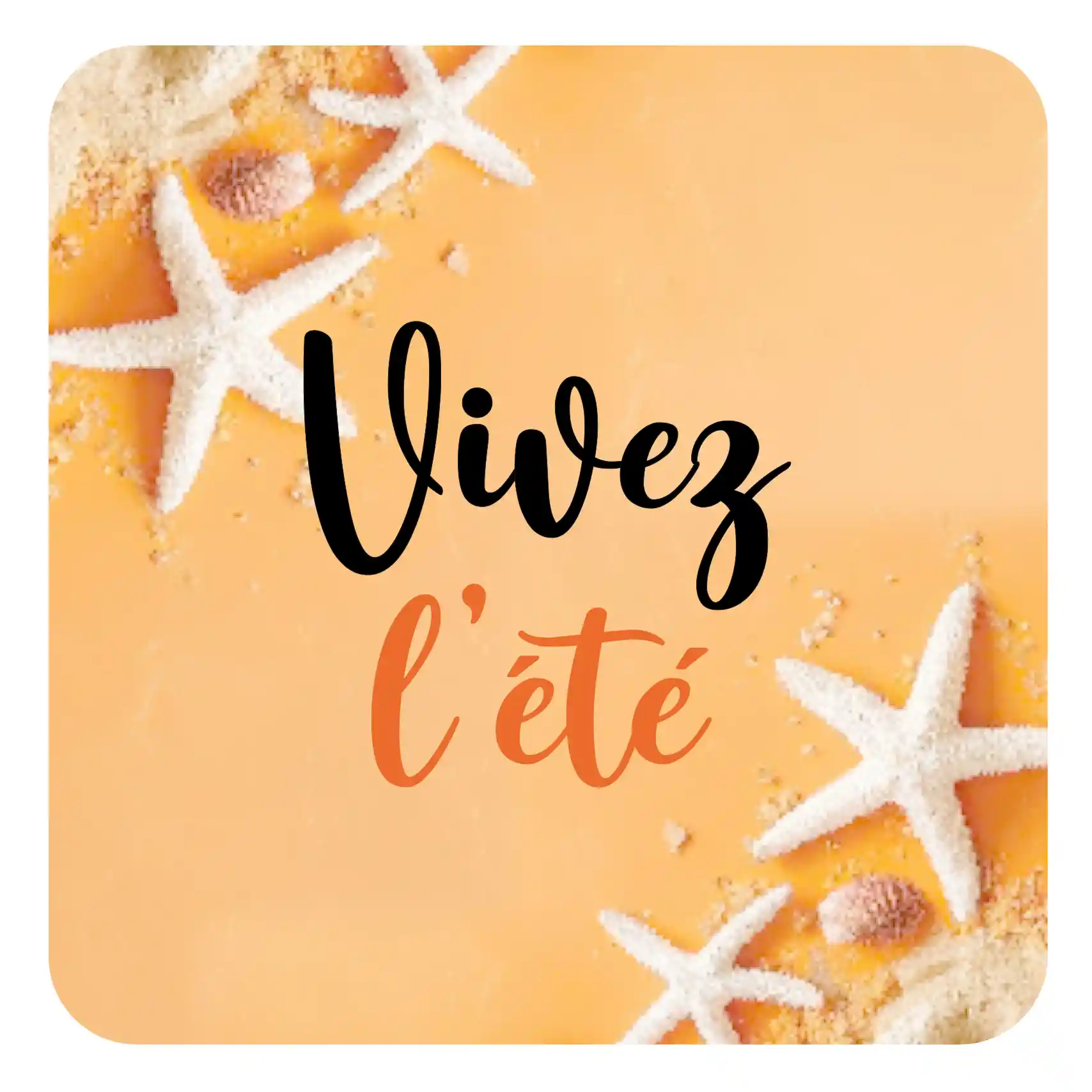 Vivez lété