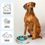 Bol Ralentisseur en Forme de Patte