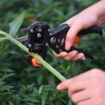 Outil de Greffage Professionnel