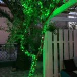 Guirlande Lumineuse Décorative 100 LED Vert 10M