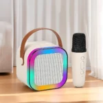 Haut-parleur Bluetooth sans fil Karaoke K12