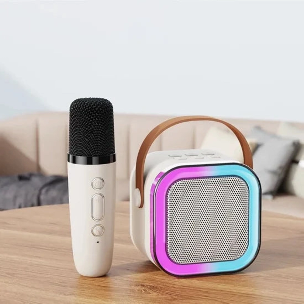 Haut-parleur Bluetooth sans fil Karaoke K12